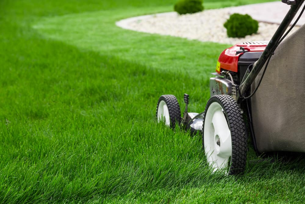 what are the best brands of lawn mowers