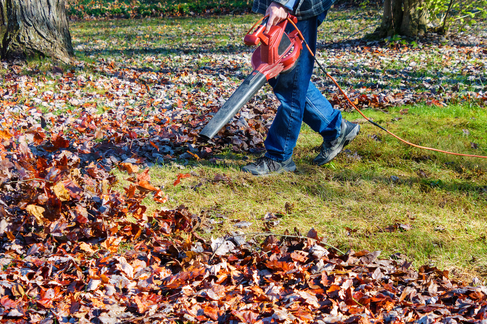 how does a leaf blower work