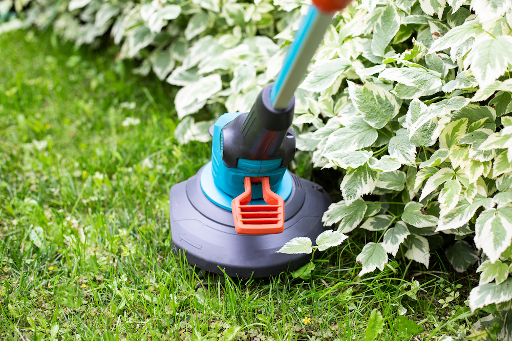 best lawn trimmer and edger